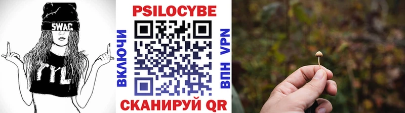 Купить закладки  Асбест  Галлюциногенные грибы Cubensis 